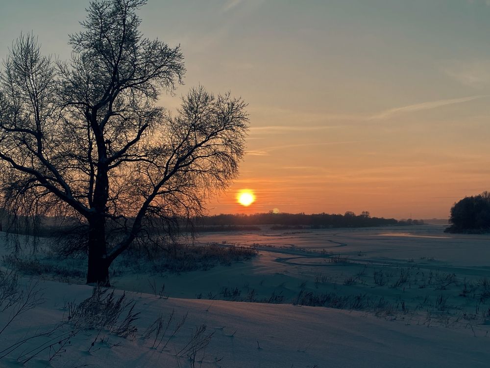 Photograph by Алла Саблина