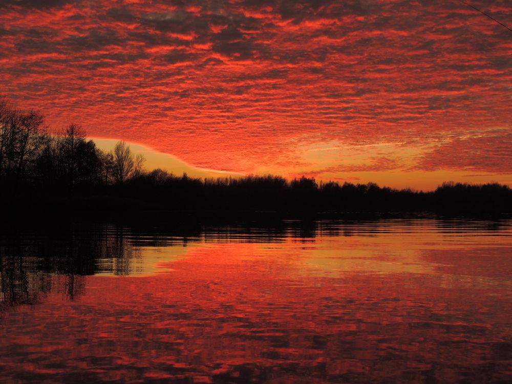 Фотография автора Игорь Сухаревич