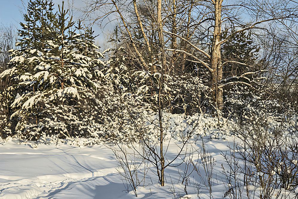 Photograph by миша