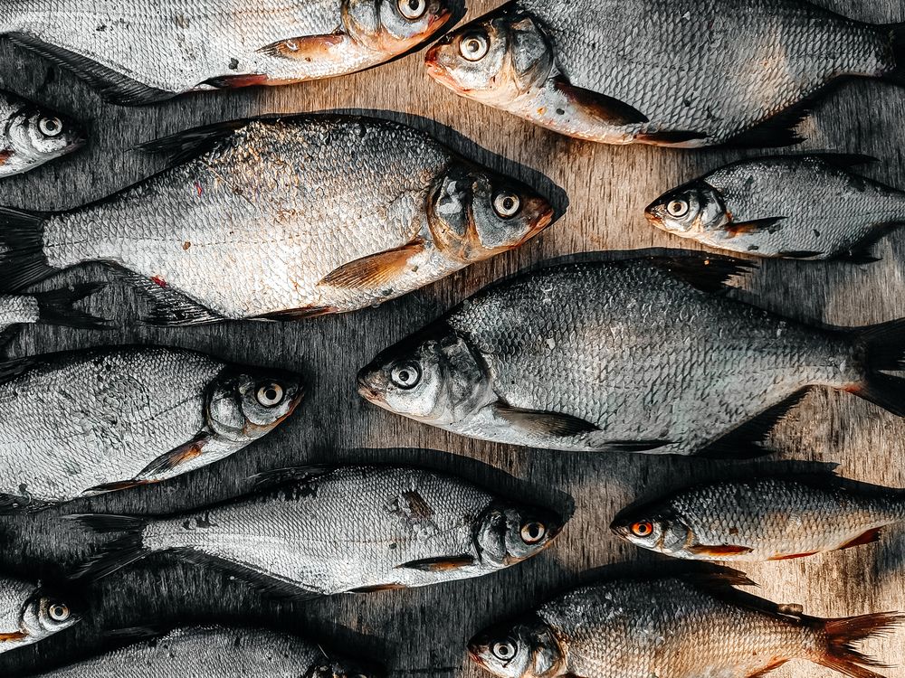 Фотография автора Ирина Романовская