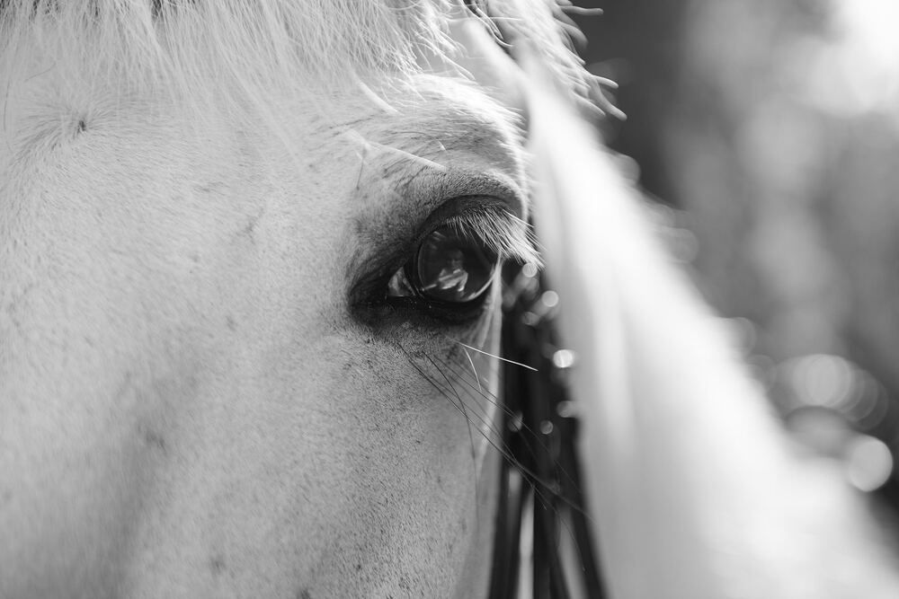 Фотография автора Андрей Фоминых