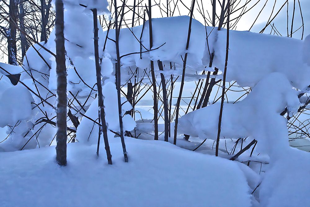 Photograph by миша