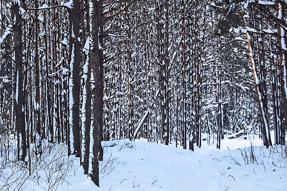 Photograph by миша