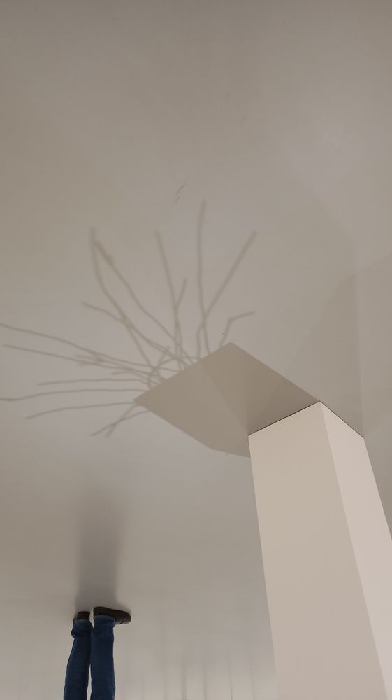 Photograph by Денис Бородич