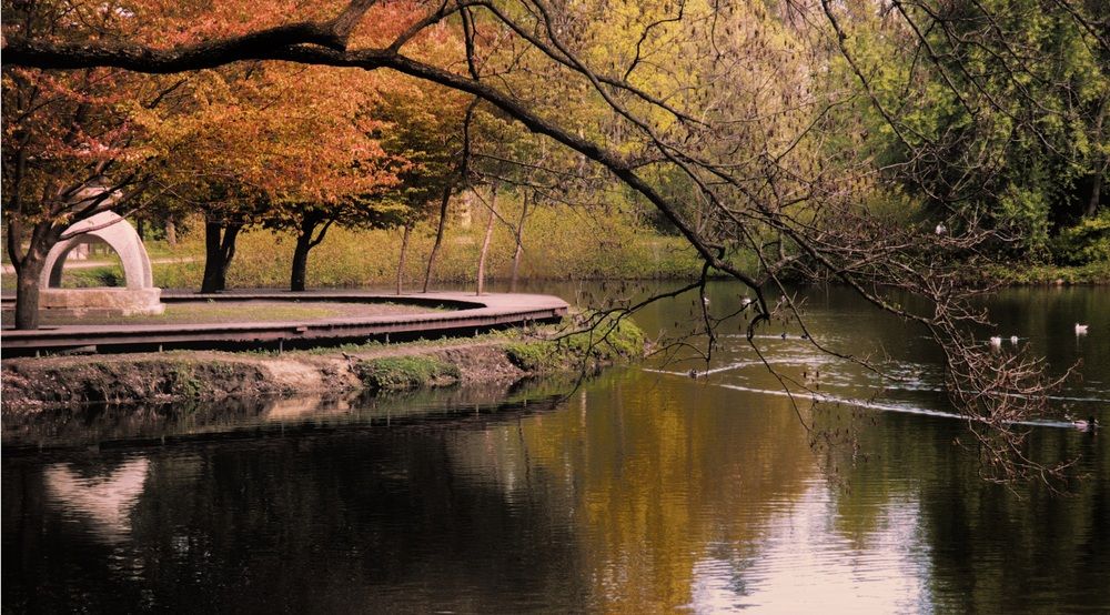 Photograph by Алексей Виноградов