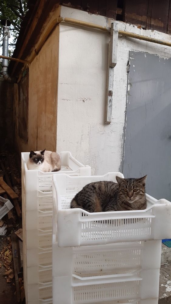 Photograph by Денис Бородич