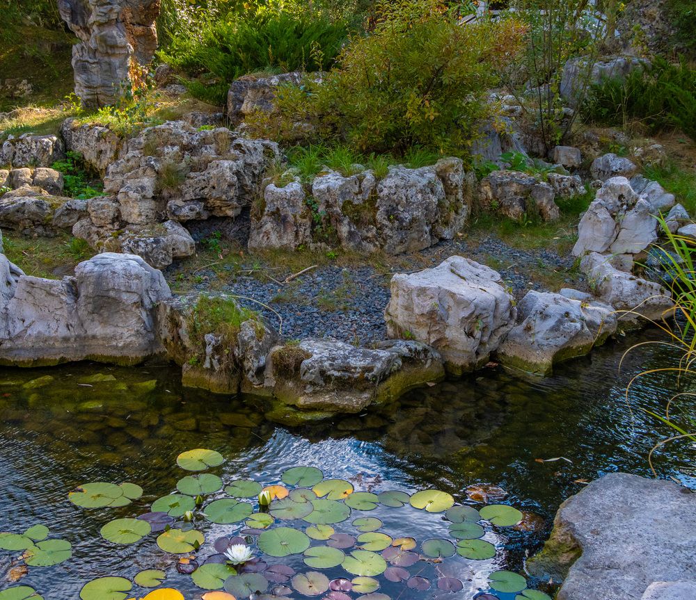 Photograph by Сергей Щербаков