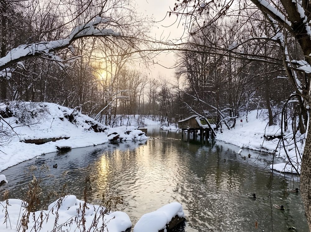 Photograph by Алла Саблина