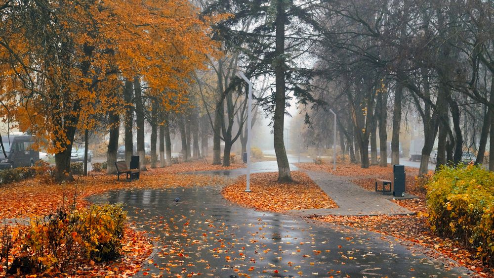 Photograph by Сушкевич Светлана