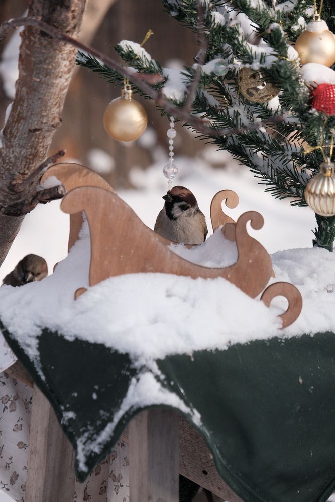 Photograph by Яна Истоцкая