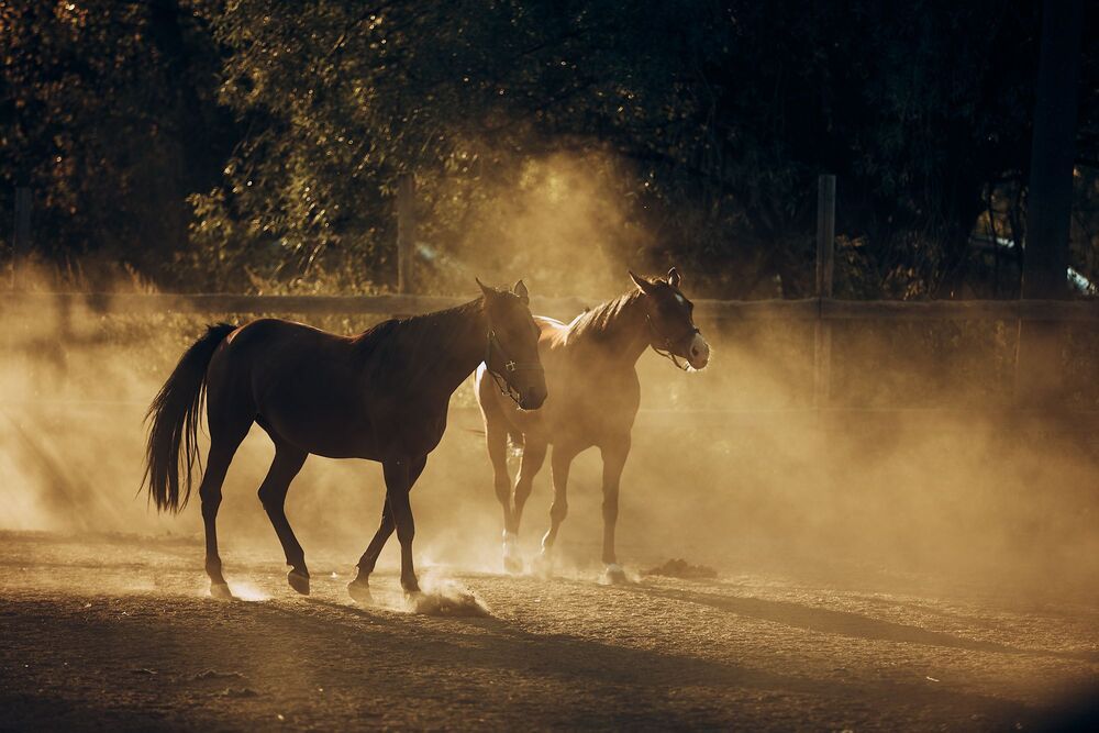 Photograph by Некрасов Денис