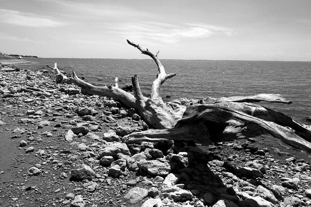 Photograph by Марина А-Б