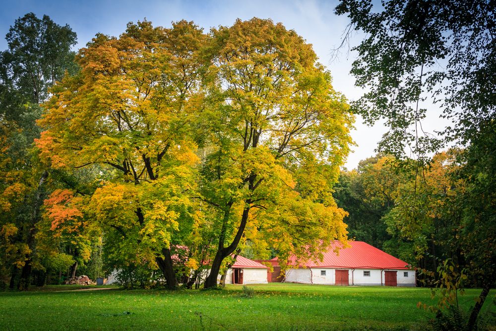 Photograph by Сергей Старых