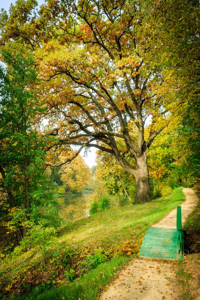 Photograph by Сергей Старых