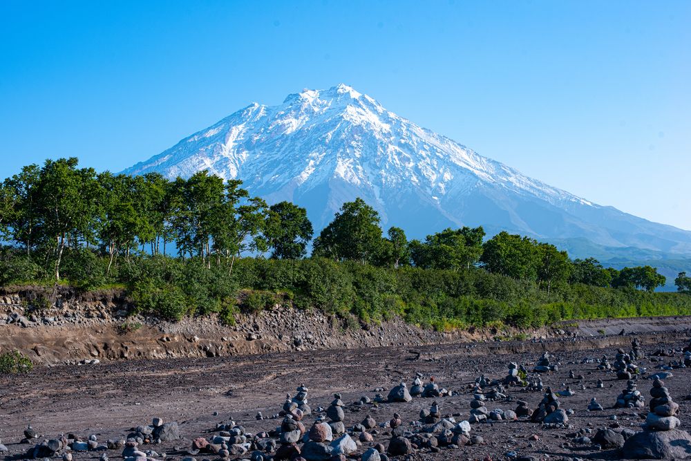 Фотография автора Надежда Кошкина