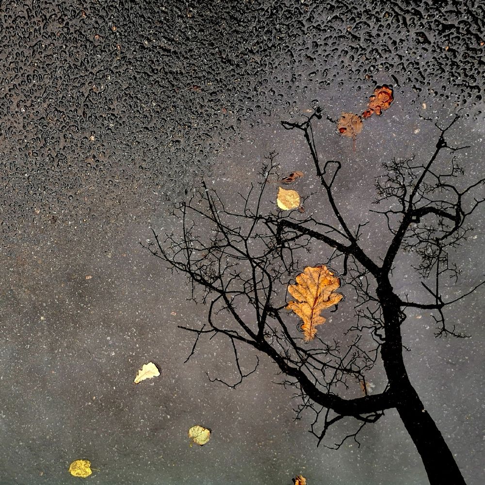 Photograph by Антон Лаба