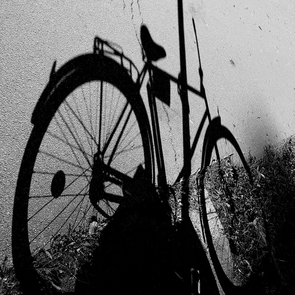 Photograph by Антон Лаба