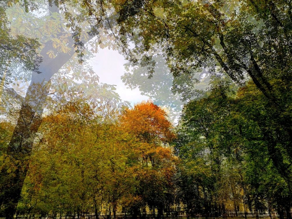 Photograph by Антон Лаба