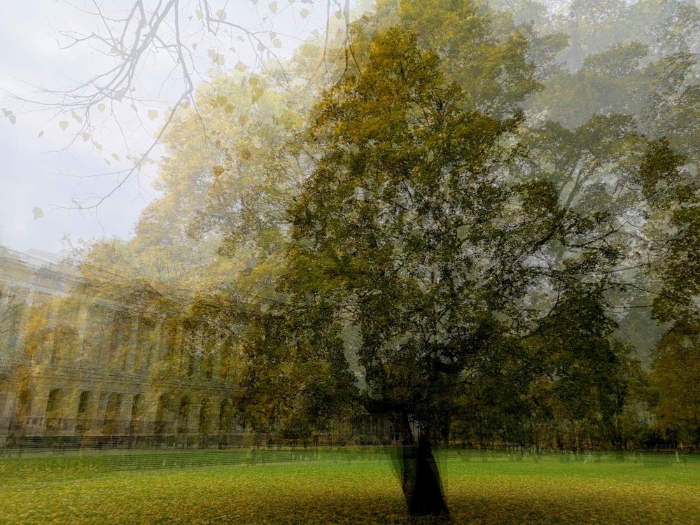 Photograph by Антон Лаба