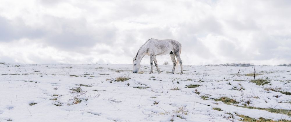 Photograph by vladimir argatev