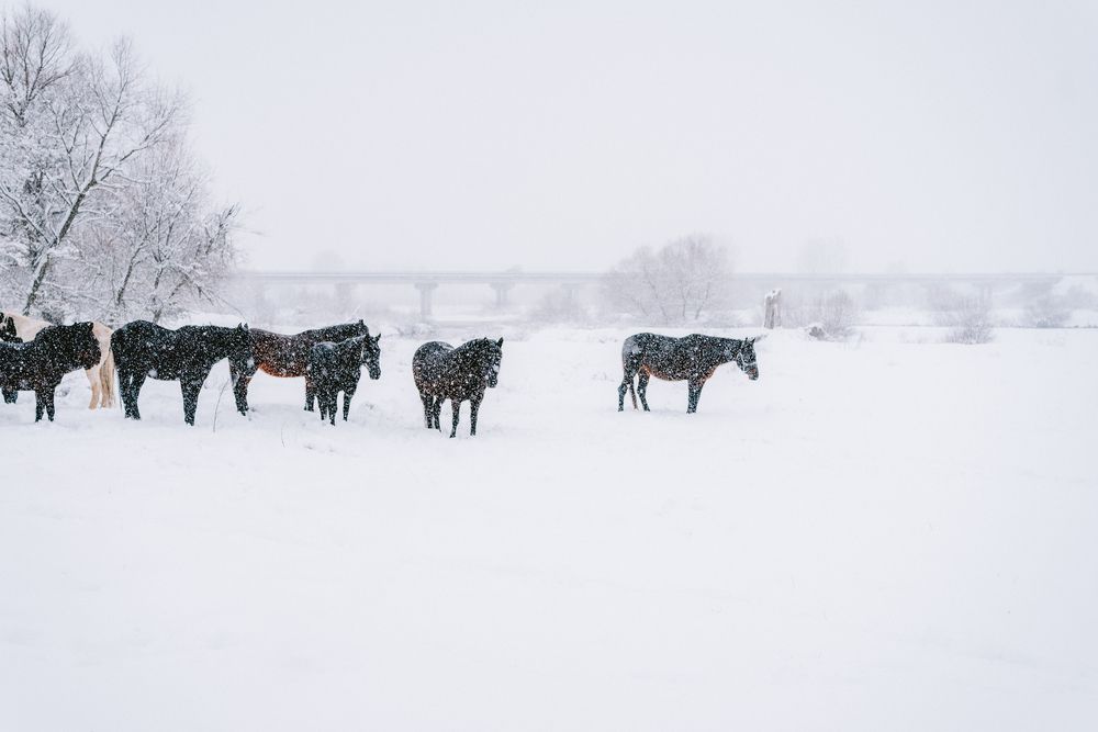 Photograph by vladimir argatev