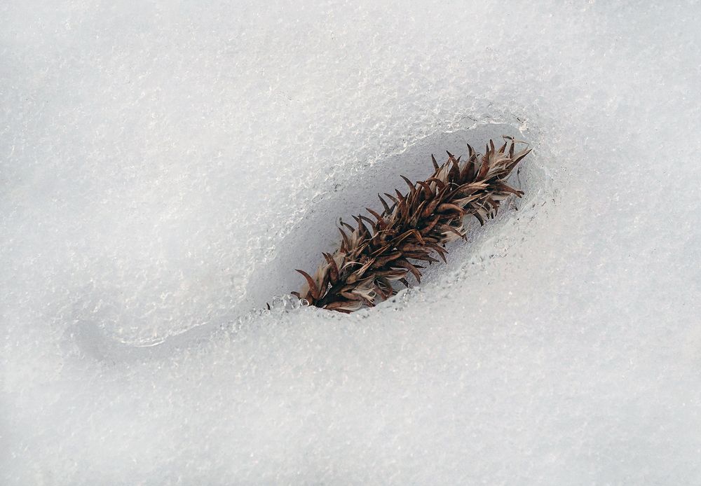 Фотография автора Е лена Е