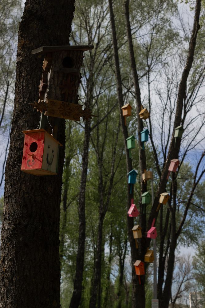 Photograph by Надежда Соболевская
