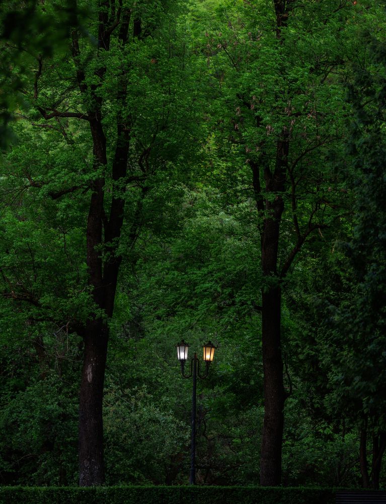 Photograph by Сергей Фомченков