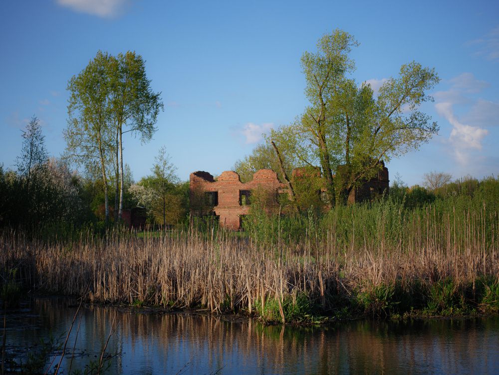 Photograph by Виктория Селетыцкая