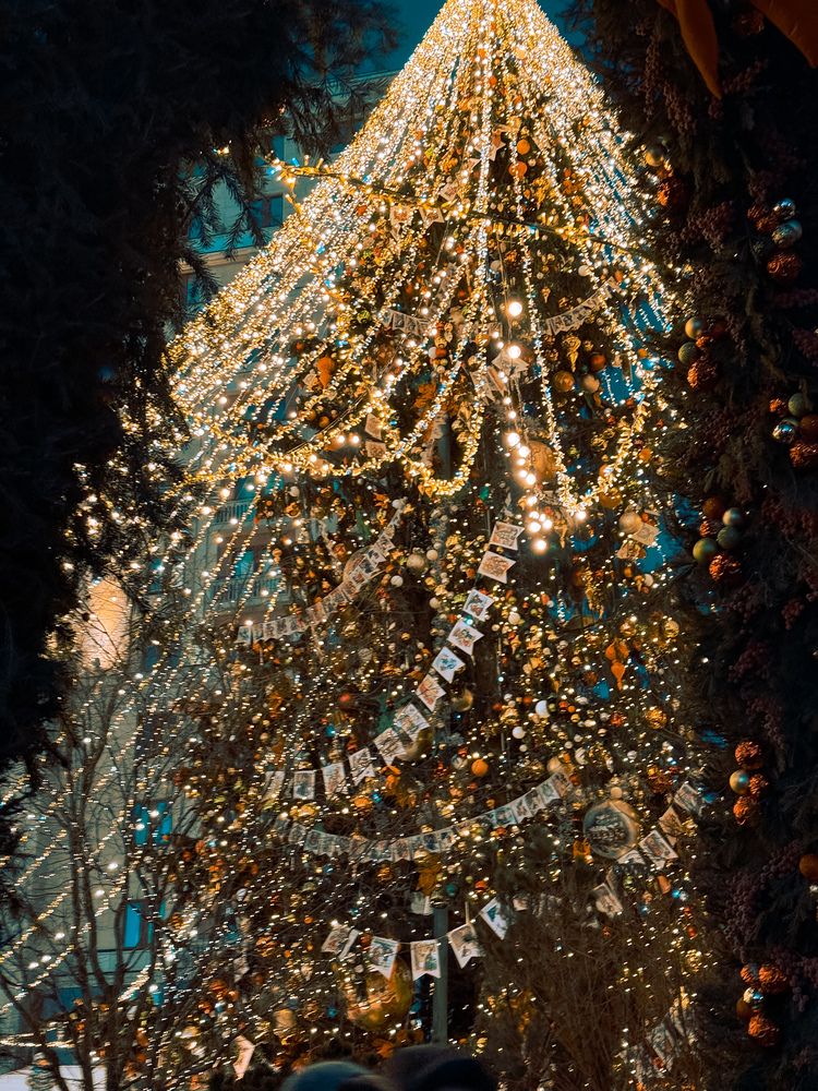 Фотография автора Евгения Сычкова