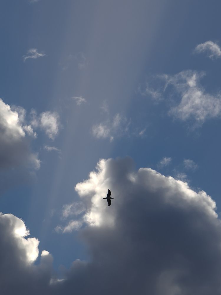 Photograph by Георгий Акопджанов