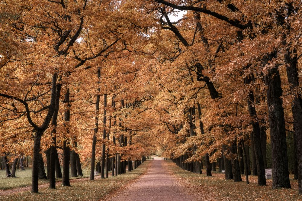 Photograph by Васильев Андрей