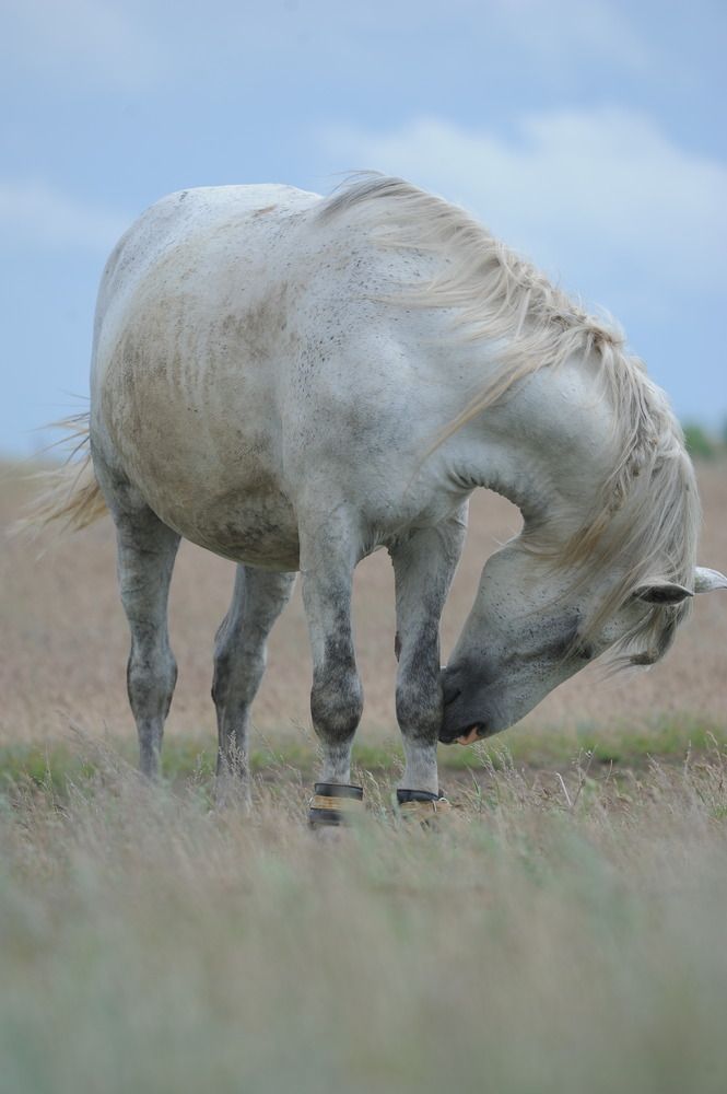 Photograph by Наталья Анисимова