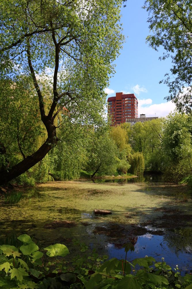 Photograph by Светлана Шуткова