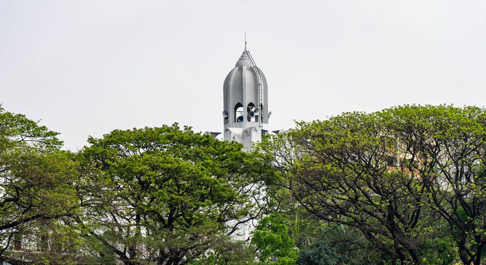 Mosque Minaret Rising Behind Trees in Spring