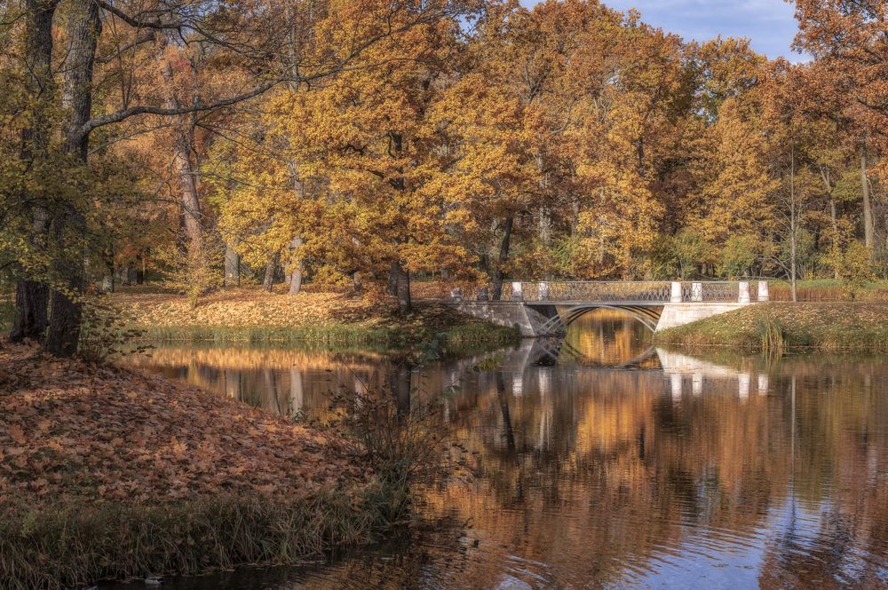 Photograph by Васильев Андрей