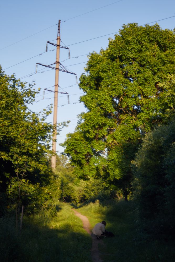 Photograph by Виктория Селетыцкая