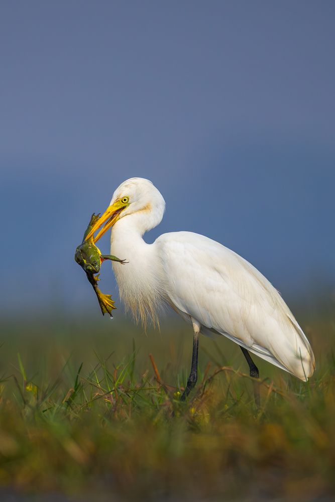 Photograph by Aritra Nath