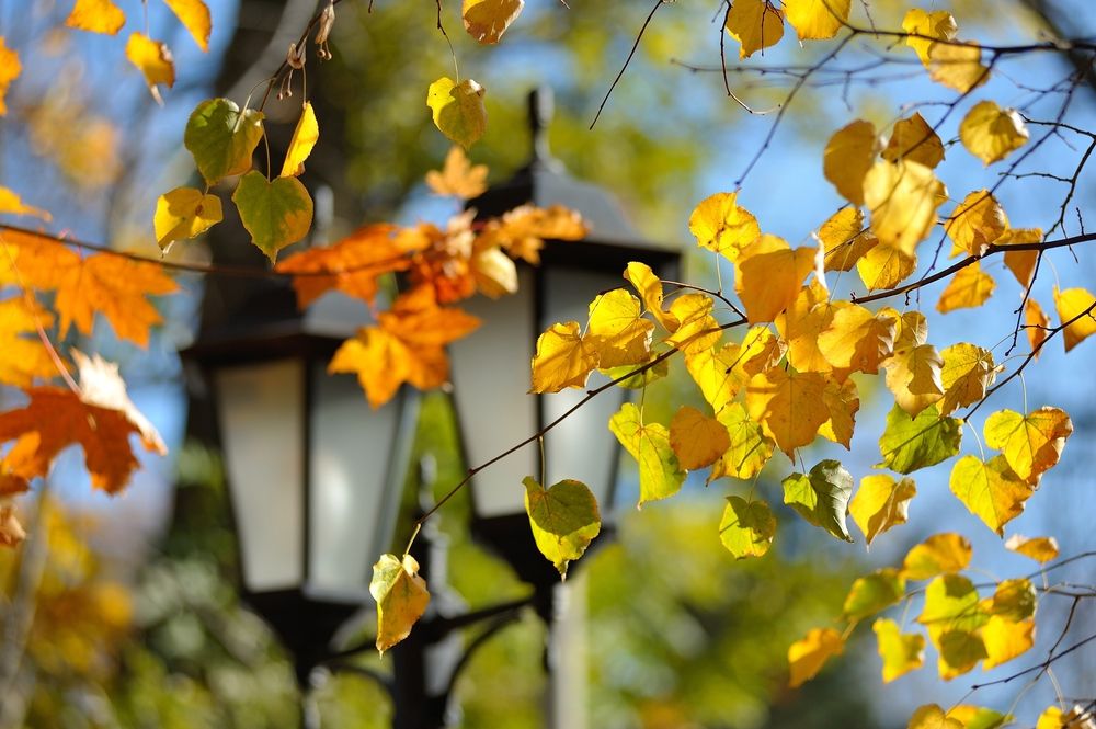 Photograph by Владимир Щеголев