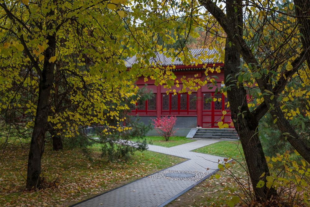 Photograph by Галина Эмберг