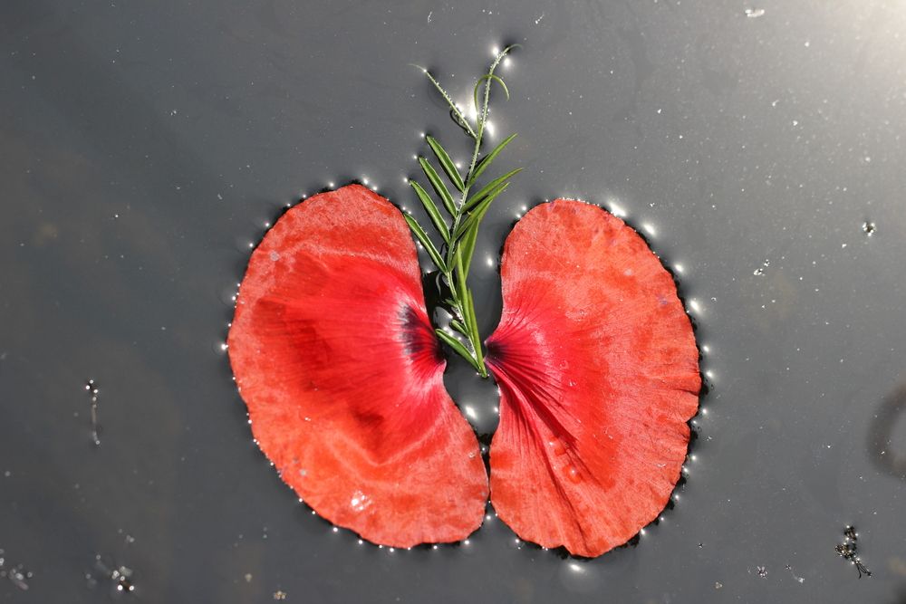 Photograph by Любовь Саханова