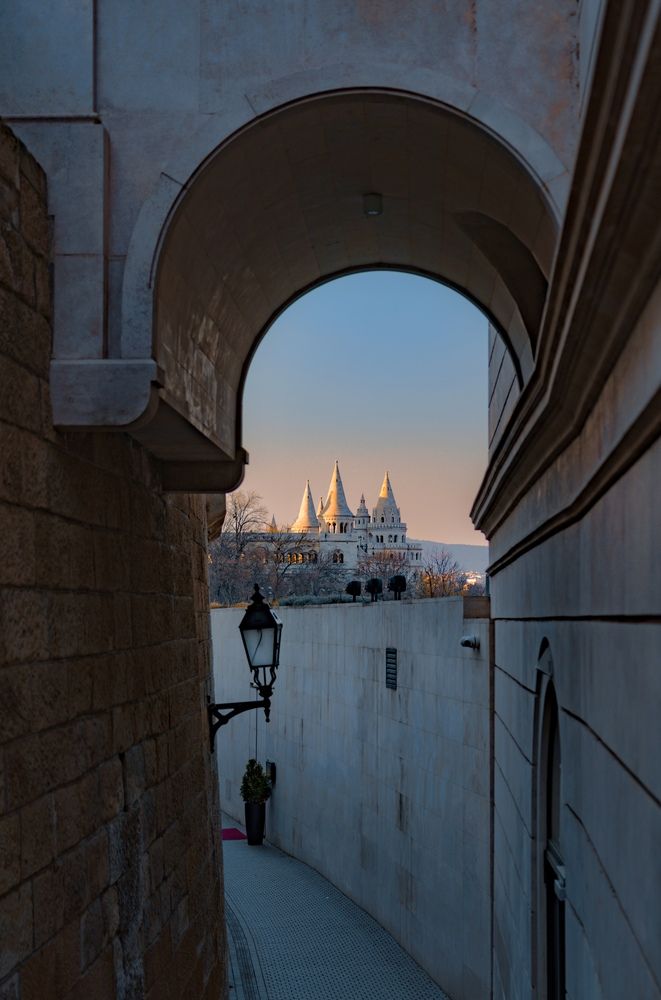 Photograph by Chen Yuzhou