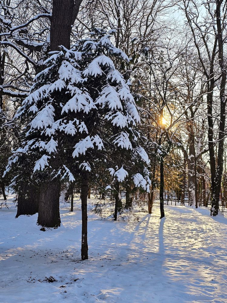 Photograph by Аня Белозерова