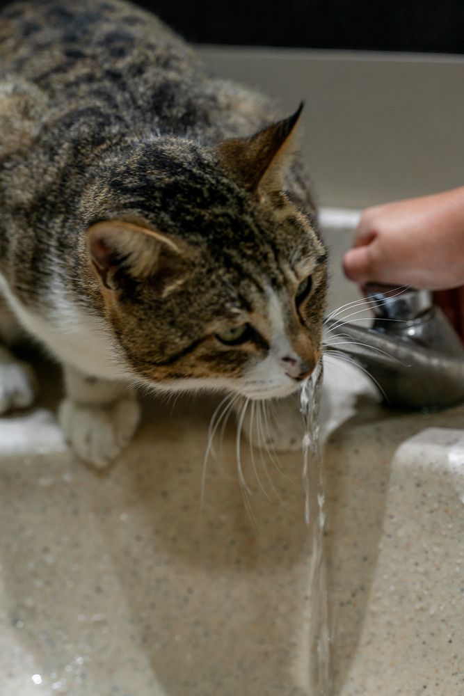 Photograph by Oxana Berezovskaya