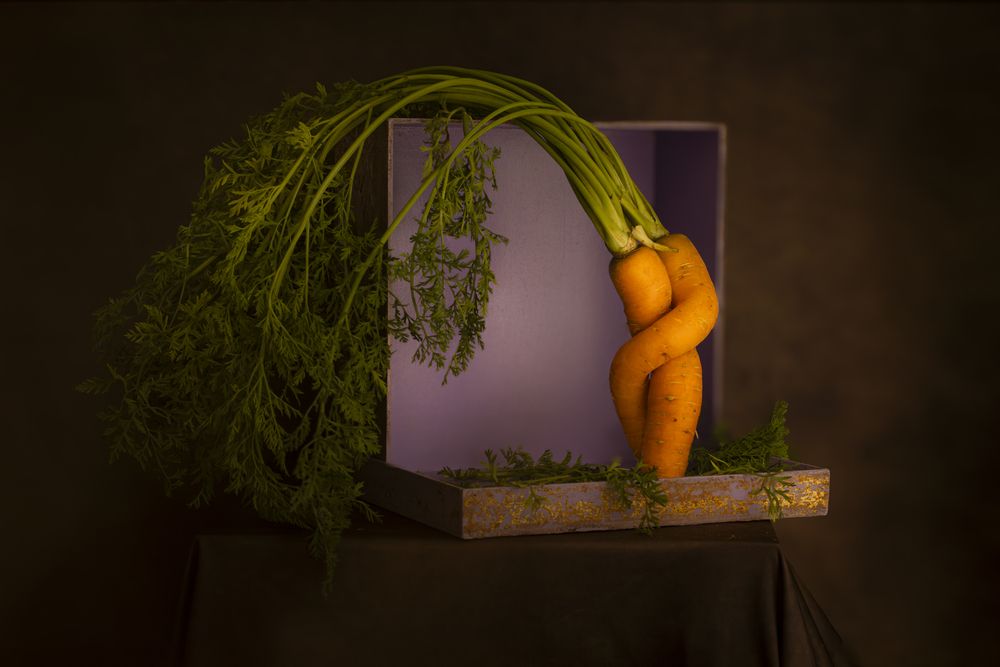 Photograph by AGUINALDO MATOS