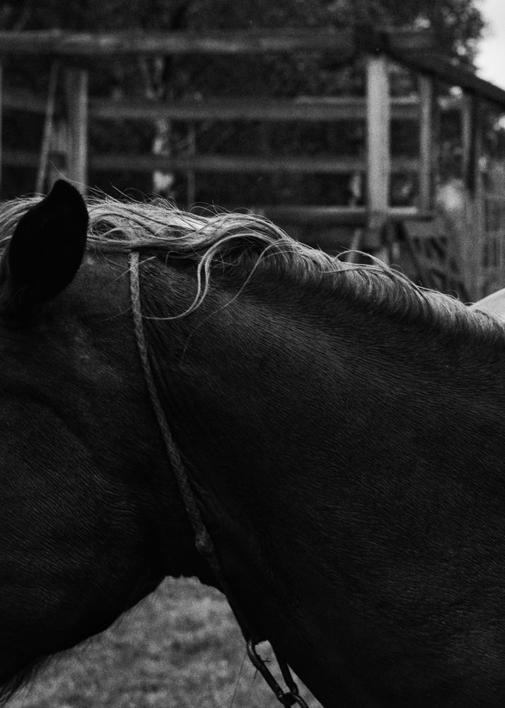 Фотография автора Ксения Шамсудинова