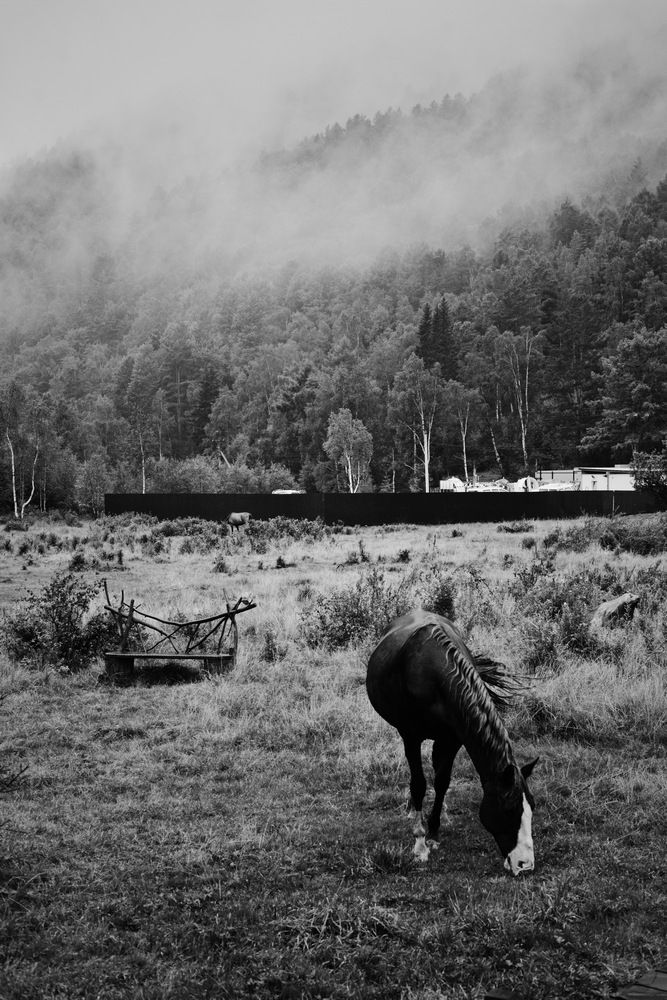 Фотография автора Ксения Шамсудинова