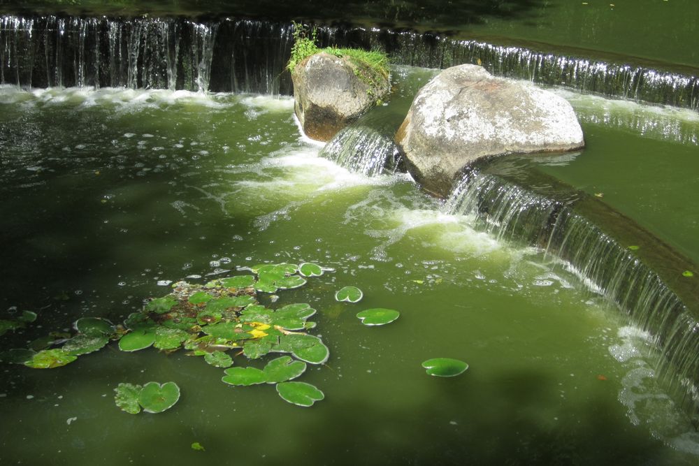 Photograph by Виктория Селетыцкая