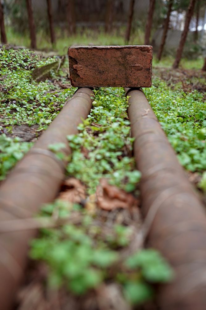 Photograph by Наталия Ангельева