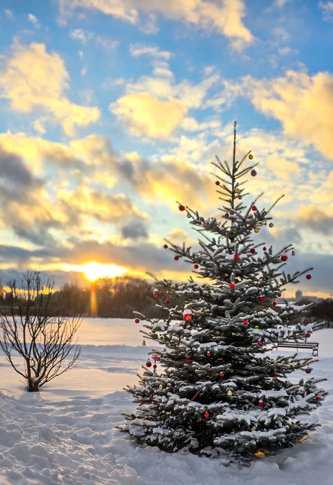 Фотография автора Нина Зинченко